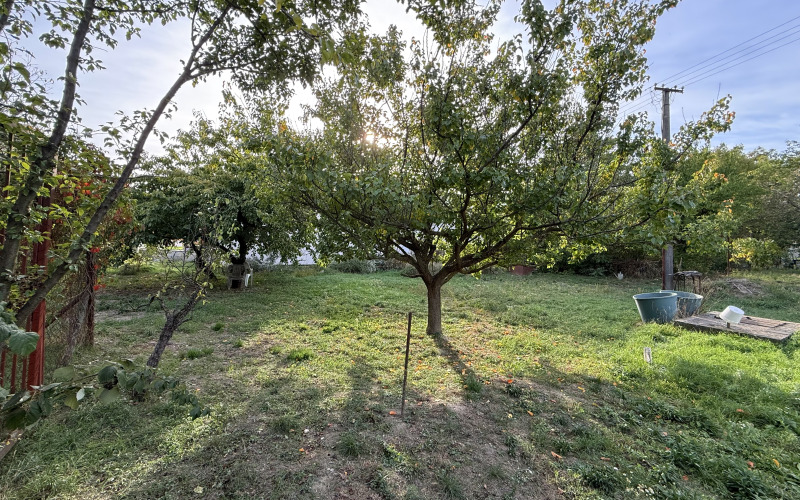 ZÁHRADA 299 m² V DUNAJSKEJ LUŽNEJ – LEN KÚSOK OD BRATISLAVY